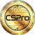 CSPro Chain Logo