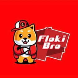 FlokiBro