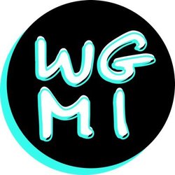 what is wgmi in crypto
