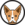 ChihuahuaSol Logo