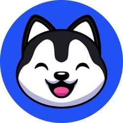 Logo Snowdog (SDOG)