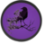 Raven Logo