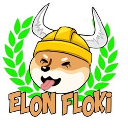 Logo ElonFlokiInu (EFLOKI)