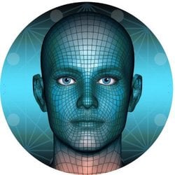 Metaverse Face Price in USD: MEFA Live Price Chart & News | CoinGecko