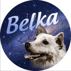 Belka