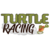 Preço de Turtle Racing (TURT)