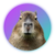 Capybara Logo