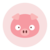 Piggy Finance-piggy-icon