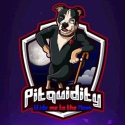Pitquidity-BSC