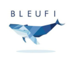 BleuFi logo