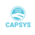 Capital System Logo