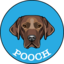 POOCH logo