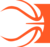 Basketballverse Logo