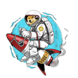 doge-1-mission-to-the-moon