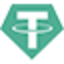 USDTE logo