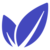 Bontecoin logo
