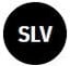 DSLV logo