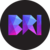 Bright Risk Index Logo