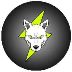 volt-inu-2