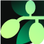 OLV logo