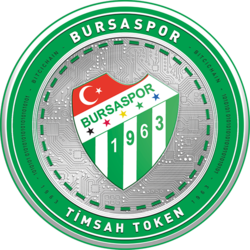  Bursaspor Fan Token ( tmsh)