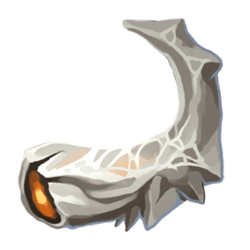 bone-fragment