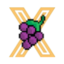 XGRAPE logo