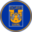 TIGRES logo
