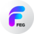 FEG BSC Logo