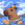 icon for Capybara1995 (CAPY)