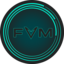 FVM logo