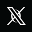 X0 logo