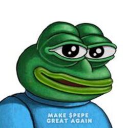 NEWPEPE Price PEPE Live Price Chart Market Cap News Today