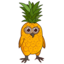 pineapple owl