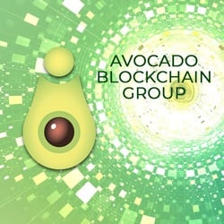 avocado-bg