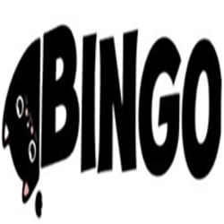 Bingo Price: CATBINGOLO Live Price Chart, Market Cap & News Today ...