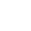 $IRL logo