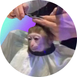 monkeyhaircut on the Crypto Calculator and Crypto Tracker Market Data Page
