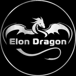 elon-dragon