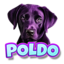 POLDO logo