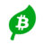 Bitcoin Green-Kurs (BITG)