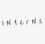 INTERN logo