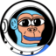 SPACEAPE