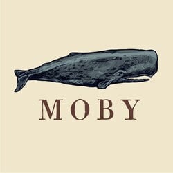 Moby on the Crypto Calculator and Crypto Tracker Market Data Page