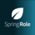 SpringRole-Kurs (SPRING)