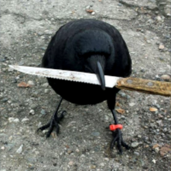 crow with knife On CryptoCalculator's Crypto Tracker Market Data Page