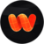 Wireshape Logo