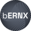 BERNX logo