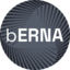 BERNA logo
