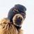 Ski Mask Dog (SKI). Price, MarketCap, Charts and Fundamentals Info ...